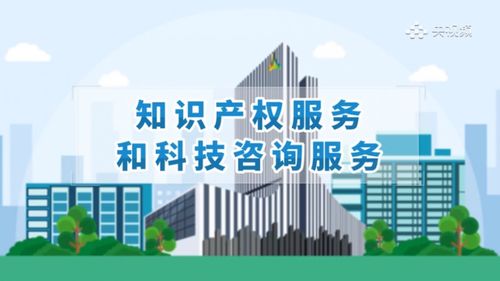 重慶英才知識(shí)產(chǎn)權(quán)和科技咨詢服務(wù)辦事指南 信息技術(shù)咨詢服務(wù)